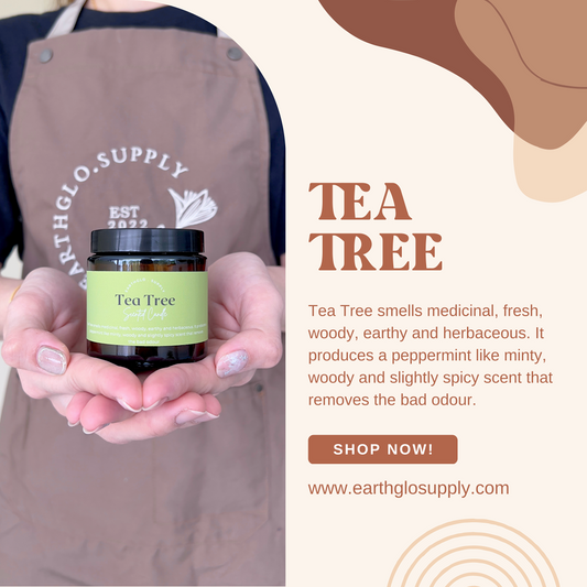 Tea Tree Soy Candle